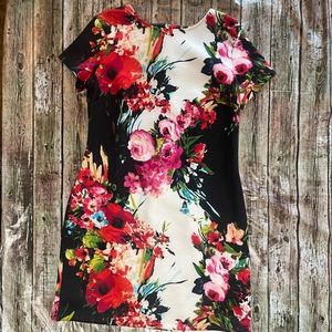 Sandra Darren dress size 14